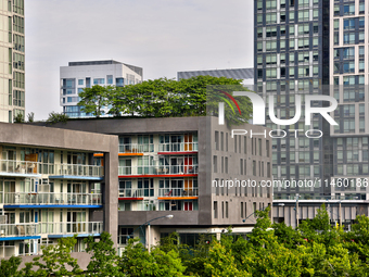 Trees are growing on a green rooftop of a condominium building in Toronto, Ontario, Canada, on June 12, 2024. (