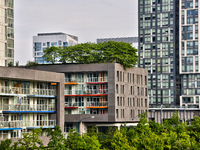 Trees are growing on a green rooftop of a condominium building in Toronto, Ontario, Canada, on June 12, 2024. (