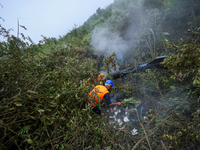 Members of the Nepal Armed Police Force and Nepal Police are searching the wreckage of the Air Dynasty Helicopter that crashed in Nuwakot Di...