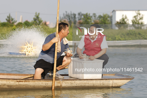 Aquaculture technicians are testing water quality at a crab pond in Wanggou village in Suqian, Jiangsu province, China, on August 7, 2024. 