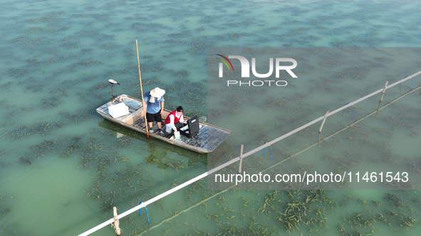 Aquaculture technicians are testing water quality at a crab pond in Wanggou village in Suqian, Jiangsu province, China, on August 7, 2024. 