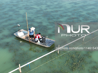 Aquaculture technicians are testing water quality at a crab pond in Wanggou village in Suqian, Jiangsu province, China, on August 7, 2024. (