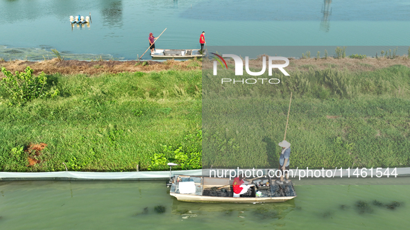 Aquaculture technicians are testing water quality at a crab pond in Wanggou village in Suqian, Jiangsu province, China, on August 7, 2024. 