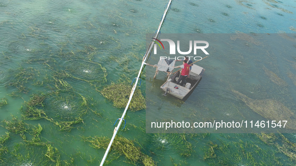 Aquaculture technicians are guiding the use of microporous oxygenation technology in crab farming science at Wanggou Village crab pond in Su...