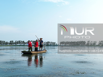 Aquaculture technicians are helping crab farmers pull weeds from the water at Wanggou Village crab pond in Suqian, China, on August 7, 2024....