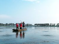 Aquaculture technicians are helping crab farmers pull weeds from the water at Wanggou Village crab pond in Suqian, China, on August 7, 2024....