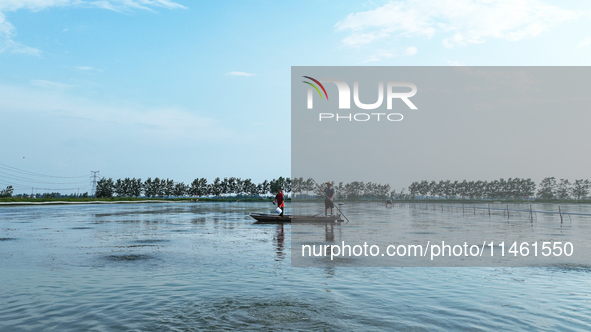 Aquaculture technicians are guiding crab feeding at Wanggou Village crab pond in Suqian, Jiangsu province, China, on August 7, 2024. 