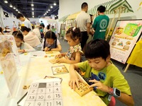 A child is experiencing an ''intellectual toy'' at the first Beijing International Science Festival in Beijing, China, on August 8, 2024. (