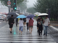 Pedestrians are walking during a rainstorm in Beijing, China, on August 9, 2024. (