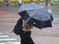 Pedestrians are walking during a rainstorm in Beijing, China, on August 9, 2024. (