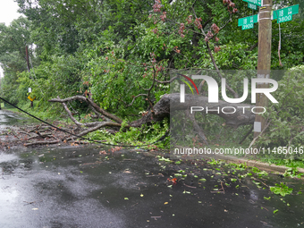 Roads along the Potomac River in Washington, D.C., were flooded due to Tropical Storm Debby on August 9, 2024 (