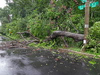 Roads along the Potomac River in Washington, D.C., were flooded due to Tropical Storm Debby on August 9, 2024 (