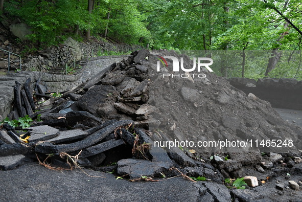 Severe weather and remnants of Tropical Storm Debby are wreaking havoc at Palisades Interstate Park, closing down the Englewood Picnic Area...