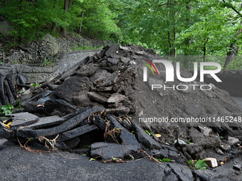 Severe weather and remnants of Tropical Storm Debby are wreaking havoc at Palisades Interstate Park, closing down the Englewood Picnic Area...