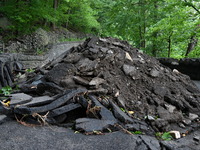 Severe weather and remnants of Tropical Storm Debby are wreaking havoc at Palisades Interstate Park, closing down the Englewood Picnic Area...