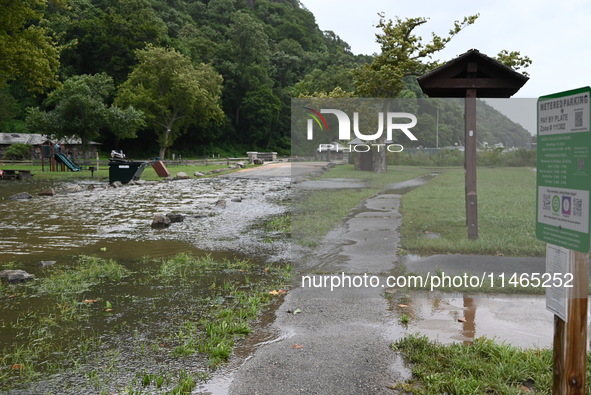 Severe weather and remnants of Tropical Storm Debby are wreaking havoc at Palisades Interstate Park, closing down the Englewood Picnic Area...