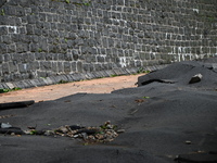 Severe weather and remnants of Tropical Storm Debby are wreaking havoc at Palisades Interstate Park, closing down the Englewood Picnic Area...