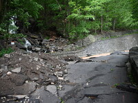 Severe weather and remnants of Tropical Storm Debby are wreaking havoc at Palisades Interstate Park, closing down the Englewood Picnic Area...