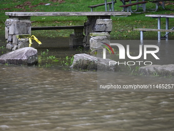 Severe weather and remnants of Tropical Storm Debby are wreaking havoc at Palisades Interstate Park, closing down the Englewood Picnic Area...