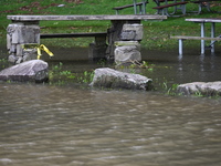 Severe weather and remnants of Tropical Storm Debby are wreaking havoc at Palisades Interstate Park, closing down the Englewood Picnic Area...