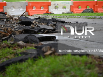 Severe weather and remnants of Tropical Storm Debby are wreaking havoc at Palisades Interstate Park, closing down the Englewood Picnic Area...