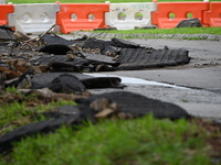 Severe weather and remnants of Tropical Storm Debby are wreaking havoc at Palisades Interstate Park, closing down the Englewood Picnic Area...