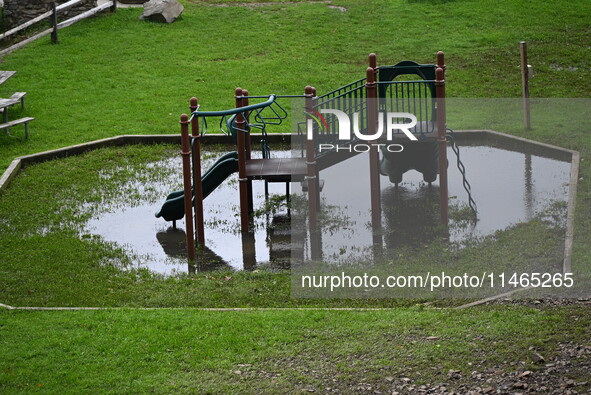 Severe weather and remnants of Tropical Storm Debby are wreaking havoc at Palisades Interstate Park, closing down the Englewood Picnic Area...