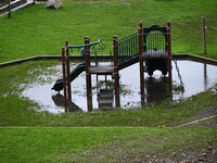 Severe weather and remnants of Tropical Storm Debby are wreaking havoc at Palisades Interstate Park, closing down the Englewood Picnic Area...