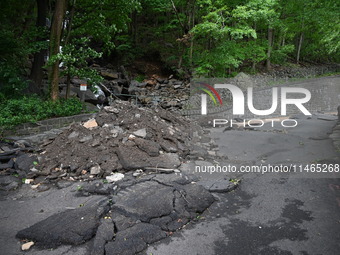 Severe weather and remnants of Tropical Storm Debby are wreaking havoc at Palisades Interstate Park, closing down the Englewood Picnic Area...