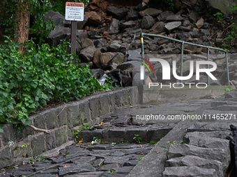 Severe weather and remnants of Tropical Storm Debby are wreaking havoc at Palisades Interstate Park, closing down the Englewood Picnic Area...