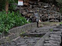 Severe weather and remnants of Tropical Storm Debby are wreaking havoc at Palisades Interstate Park, closing down the Englewood Picnic Area...