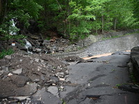 Severe weather and remnants of Tropical Storm Debby are wreaking havoc at Palisades Interstate Park, closing down the Englewood Picnic Area...