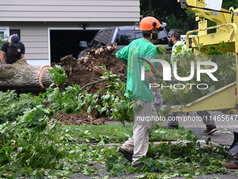 A large tree is uprooting and causing major damage to a home on Wynetta Place during severe weather impacting the northeastern United States...