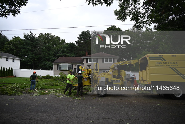 A large tree is uprooting and causing major damage to a home on Wynetta Place during severe weather impacting the northeastern United States...