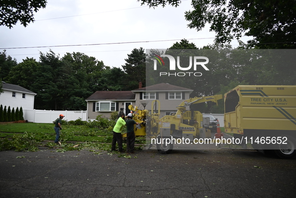 A large tree is uprooting and causing major damage to a home on Wynetta Place during severe weather impacting the northeastern United States...