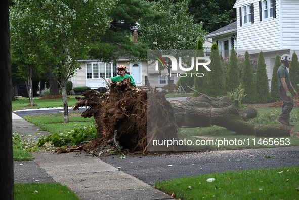 A large tree is uprooting and causing major damage to a home on Wynetta Place during severe weather impacting the northeastern United States...