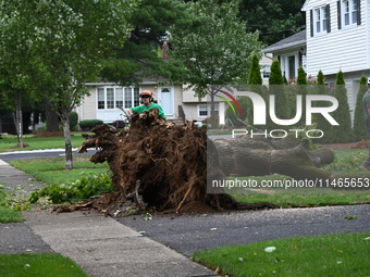 A large tree is uprooting and causing major damage to a home on Wynetta Place during severe weather impacting the northeastern United States...