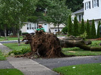 A large tree is uprooting and causing major damage to a home on Wynetta Place during severe weather impacting the northeastern United States...