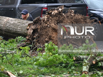 A large tree is uprooting and causing major damage to a home on Wynetta Place during severe weather impacting the northeastern United States...