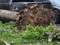 A large tree is uprooting and causing major damage to a home on Wynetta Place during severe weather impacting the northeastern United States...