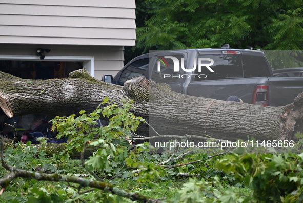 A large tree is uprooting and causing major damage to a home on Wynetta Place during severe weather impacting the northeastern United States...