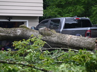 A large tree is uprooting and causing major damage to a home on Wynetta Place during severe weather impacting the northeastern United States...