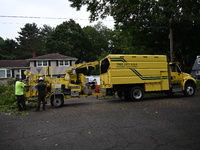 A large tree is uprooting and causing major damage to a home on Wynetta Place during severe weather impacting the northeastern United States...