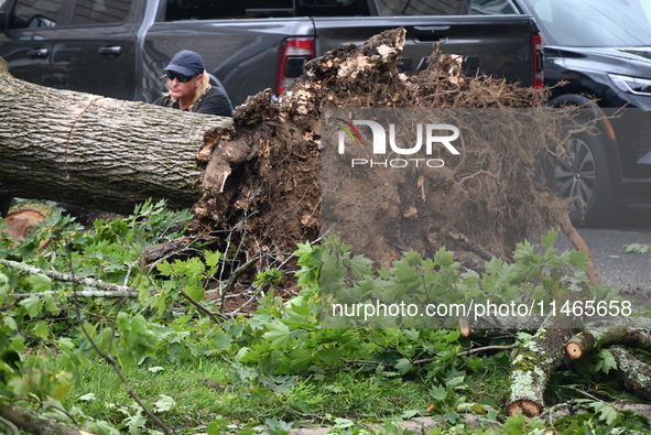 A large tree is uprooting and causing major damage to a home on Wynetta Place during severe weather impacting the northeastern United States...