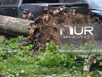 A large tree is uprooting and causing major damage to a home on Wynetta Place during severe weather impacting the northeastern United States...