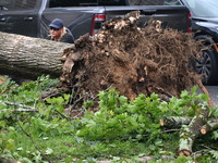 A large tree is uprooting and causing major damage to a home on Wynetta Place during severe weather impacting the northeastern United States...