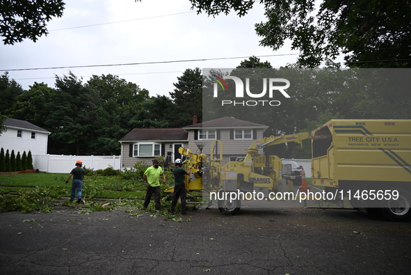 A large tree is uprooting and causing major damage to a home on Wynetta Place during severe weather impacting the northeastern United States...