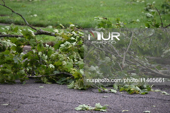 A large tree is uprooting and causing major damage to a home on Wynetta Place during severe weather impacting the northeastern United States...