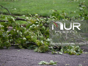 A large tree is uprooting and causing major damage to a home on Wynetta Place during severe weather impacting the northeastern United States...