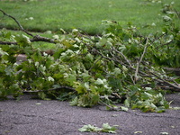 A large tree is uprooting and causing major damage to a home on Wynetta Place during severe weather impacting the northeastern United States...